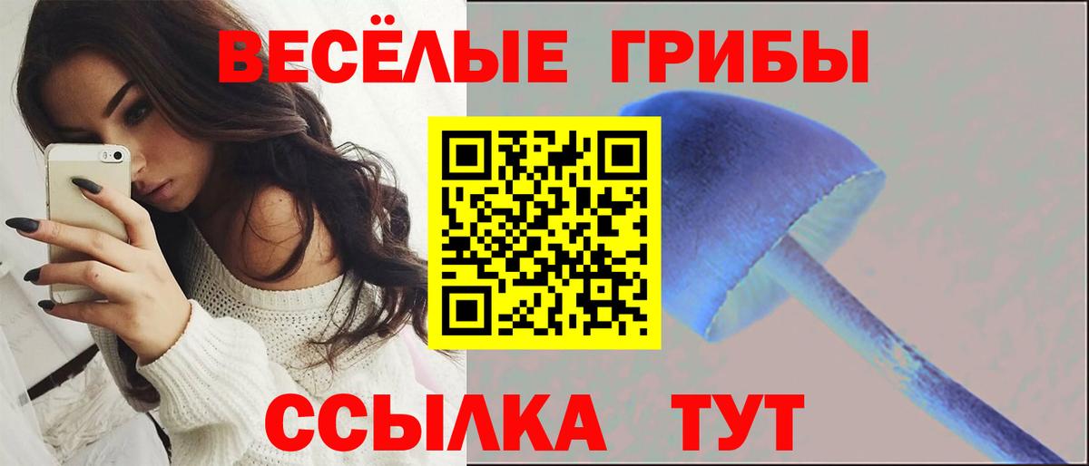 Галлюциногенные грибы MAGIC MUSHROOMS  Вход с VPN  Бугуруслан 